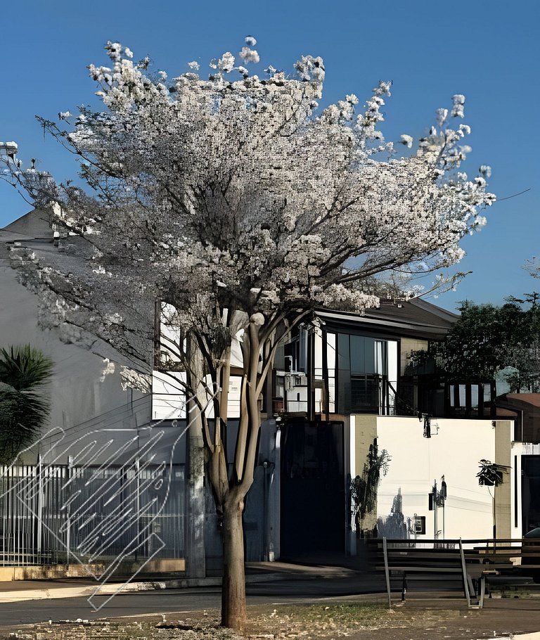 Duplo Luxo com Frigobar, Acesso ao Jardim - Térreo